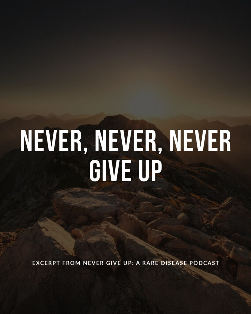 Graphic with the text: 'Never, Never, Never Give Up.' A motivational message emphasizing resilience and perseverance.