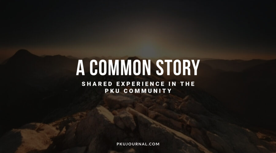 Graphic with the title “A Common Story: Shared Experience in the PKU Community” over a mountain sunrise background. Created for PKU Journal.